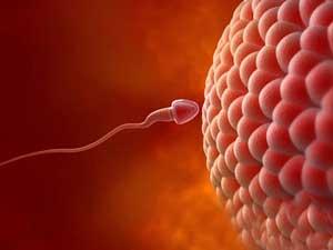 专家详谈：前列腺炎治疗费用